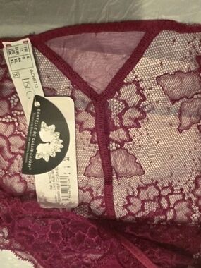 Lise Charmel Sublime en Dentelle Italian Brief-Fuchsia Size XL NWT